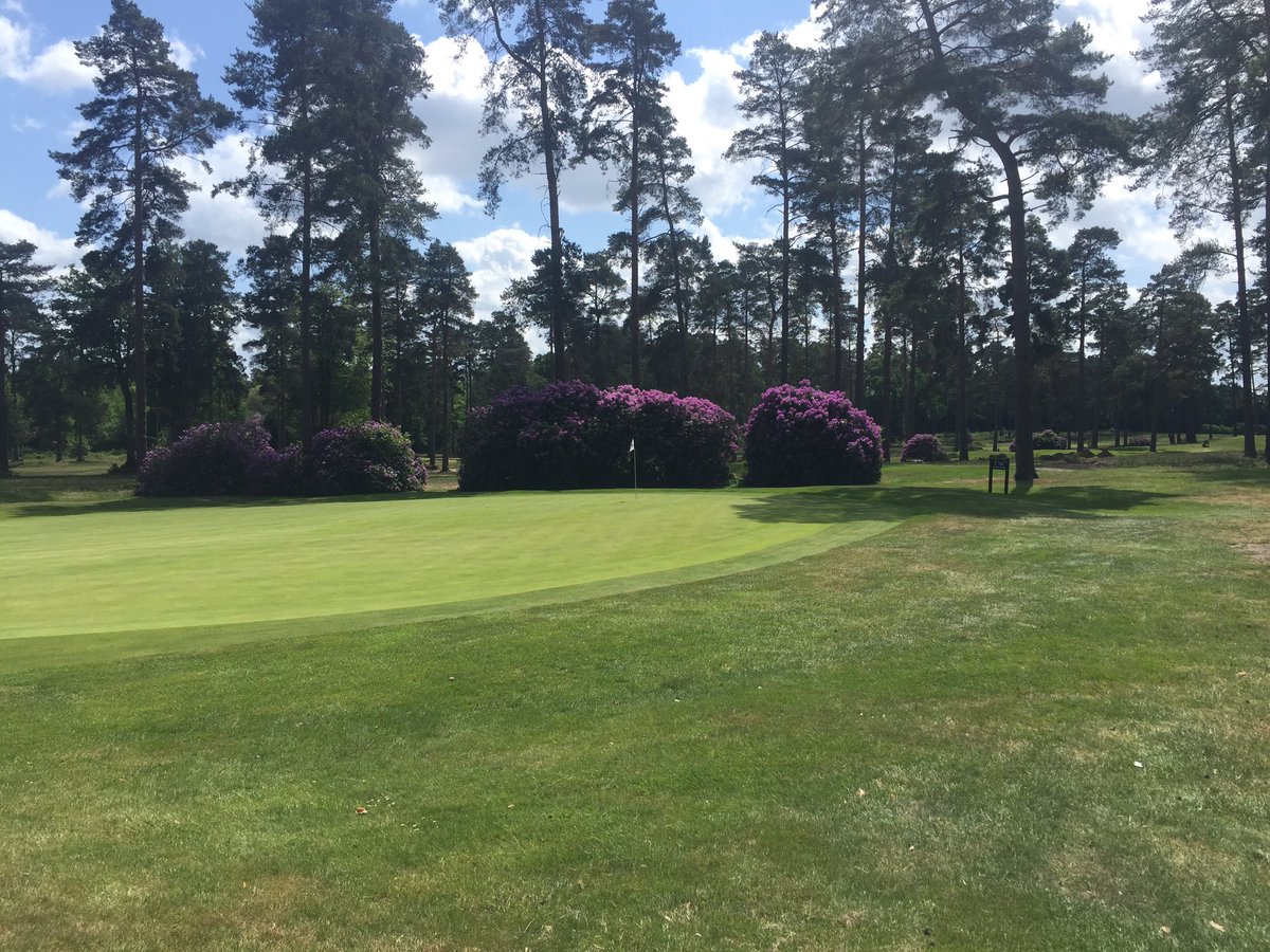 ProRobbo59's tweet photo. Surrey golf @westhillpro superb! #golfatitsbest  great work by the greenstaff #fatherandson https://t.co/InyblVcNV5