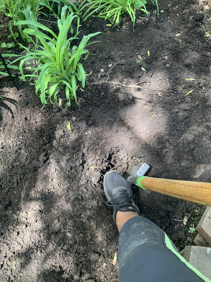 I’m now a gardening influencer. Get into it.