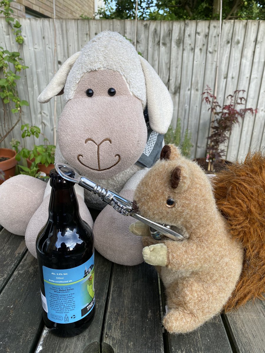 Alfie is just as enthusiastic about beer as me. Right then Alfie, get those nutcrackers, I mean that bottle opener, going #petespints 🍺🍺🍺🐏🐿