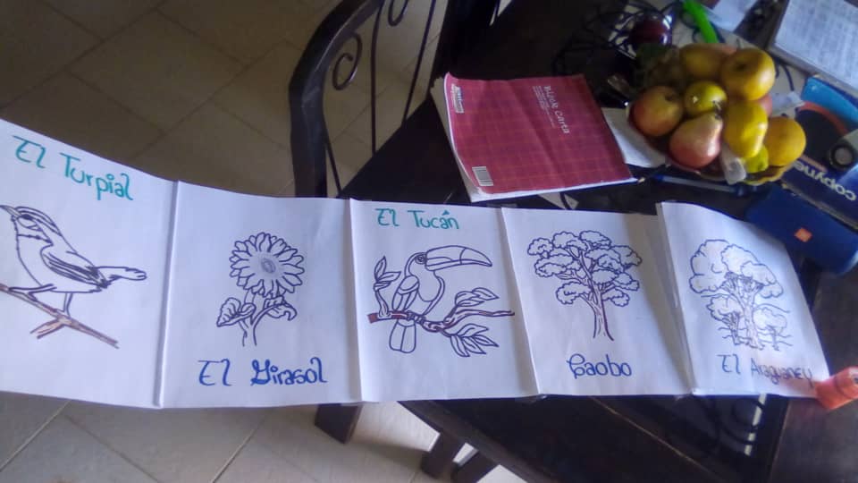 lnfranciscomsc's tweet photo. Nuestros estudiantes realizan con dedicación las actividades propuestas para su formación diariamente, en esta oportunidad nos muestran la biodiversidad de nuestro país VENEZUELA @charlychaves @ZonaEducTachira @clbtachira @MPPEDUCACION @NicolasMaduro @wendyyusle https://t.co/pP4yaWBMX2