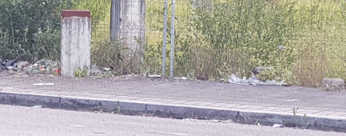 frutortu's tweet photo. Maite ditut maite, gure bazterrak.
Zoritxarrez azkenaldi hontan
plastikoa nagusi hauetan...
@GDKOUdala @Gdko_Polizia @infobinke https://t.co/SQztqaubic