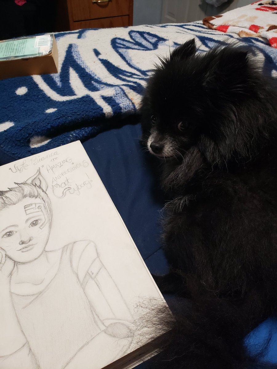 lndavis451056's tweet photo. @TalkHeathen1  Hey guys. Attempting 2 send some fan art but I'm a littlt lost on this whole twiiter thing.. but hopefully someone can see my tribute to Vi the androgynous cat cyborg! PS my dog Bear says hi.. https://t.co/uqzqHQtHsn