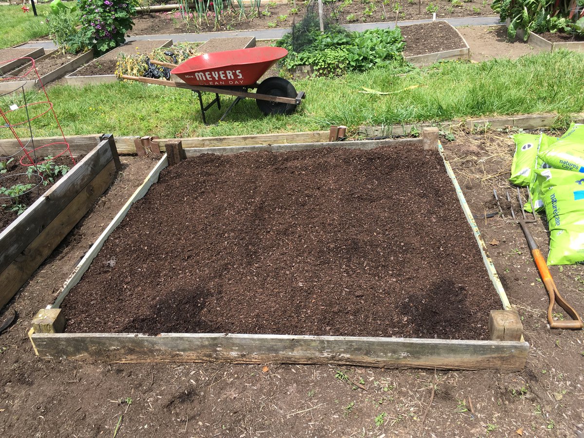 built two new raised beds in my aunt’s community garden plot. I love building raised beds and i wont apologize for it