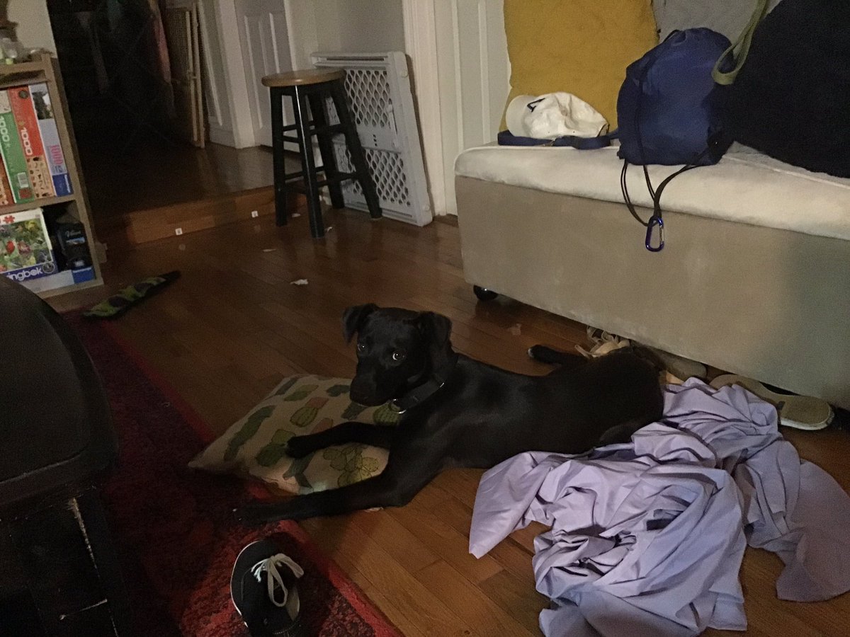 Lindy but it’s June 🏳️‍🌈 tweet media