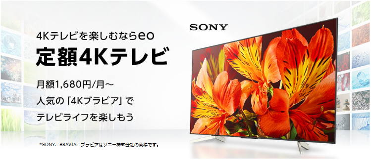 紫貴臣 プロマリ ニュース Eo サブスクサービス 定額4kテレビ 開始 T Co 6b5emgg9fl プロマリ News Promari ニュース プログラミング It エンジニア 仕事 転職