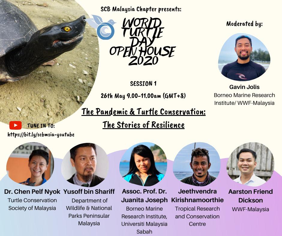 For the 1st session of  #WorldTurtleDay  #TurtleOpenHouse, we have  @gavinjolis moderating talks of resilience by our conservationists during the  #COVID19 pandemic.Tune in NOW! 