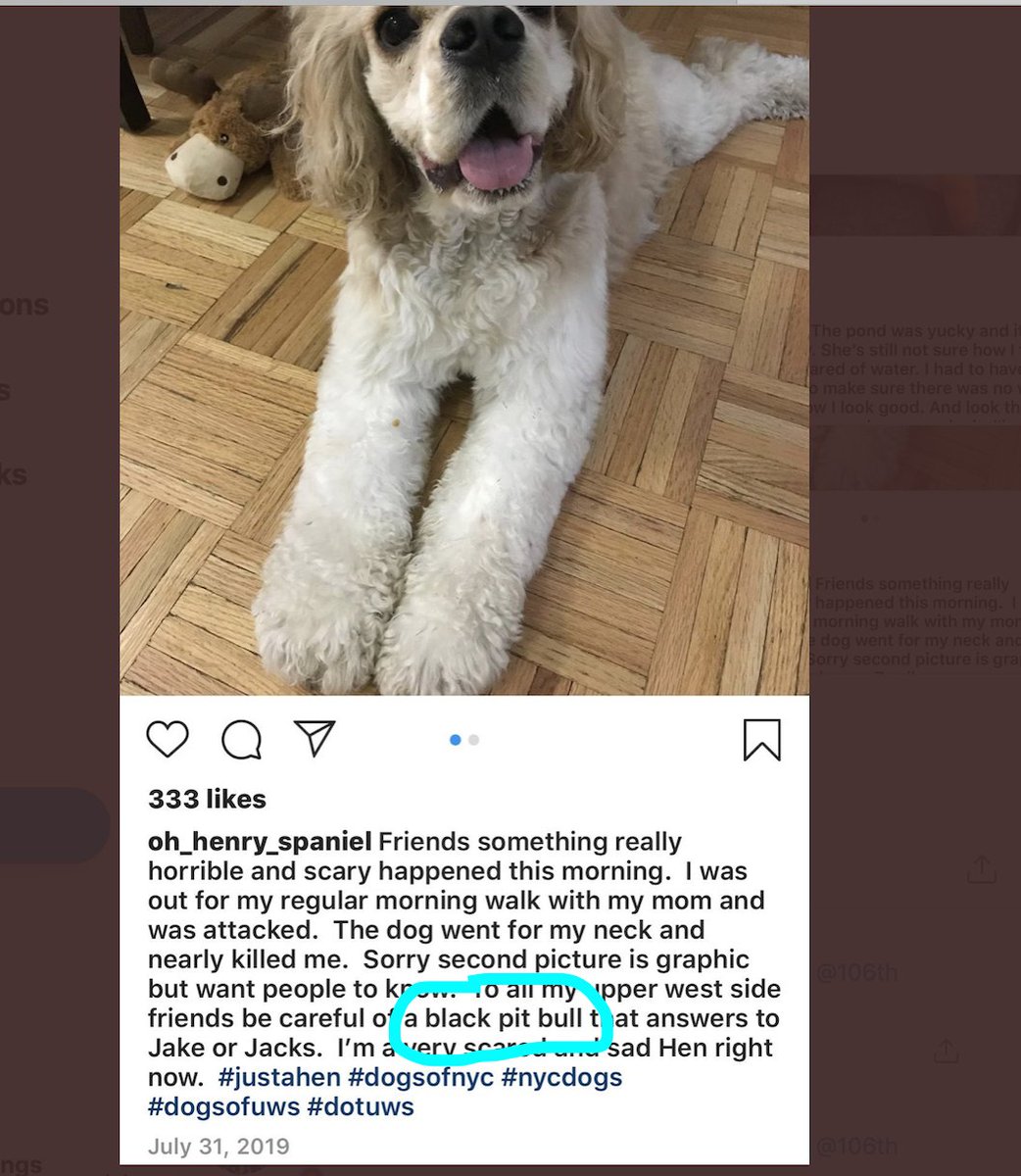 Machiavellisima's tweet photo. @tariqnasheed And she teaching the dog to lie, too... https://t.co/NMsPo6gCKu