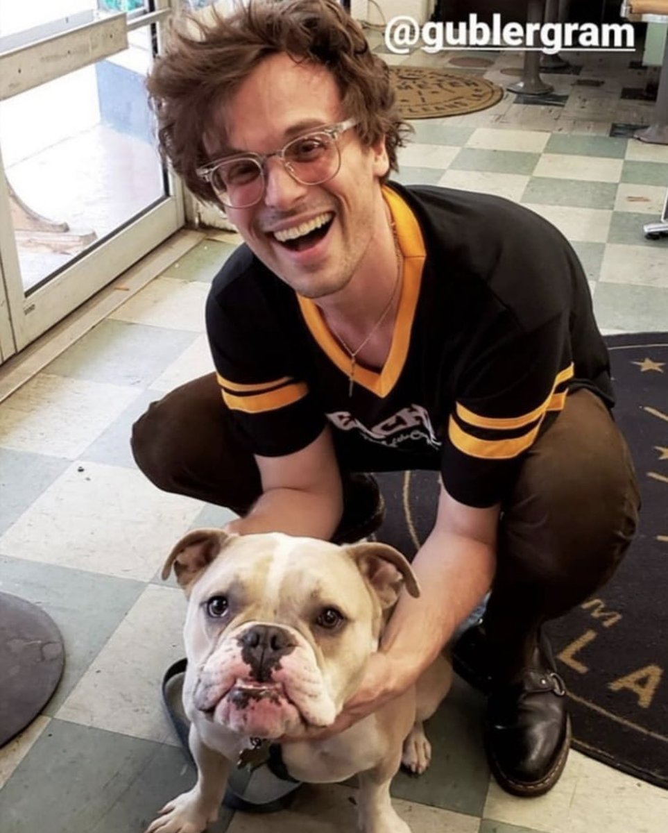 photos of mgg that have "dogs>people" written all over them • a thread.