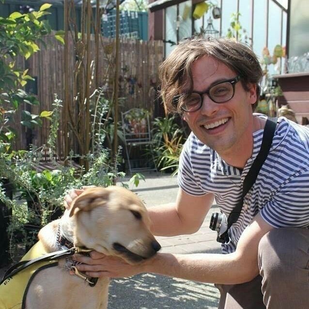 photos of mgg that have "dogs>people" written all over them • a thread.