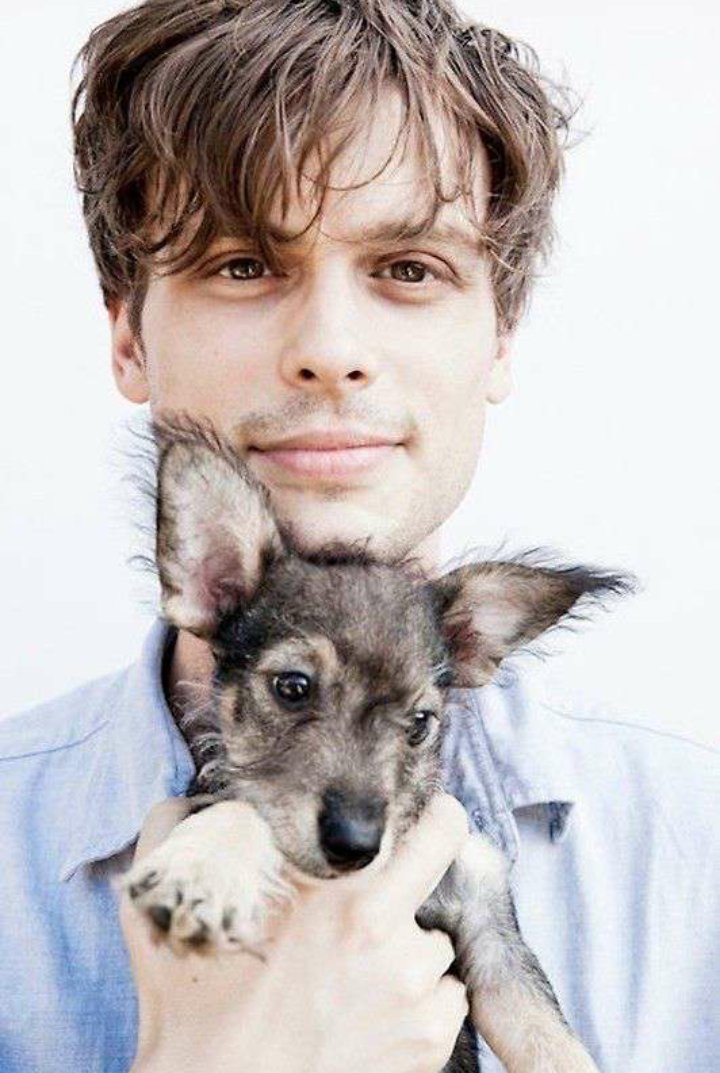 photos of mgg that have "dogs>people" written all over them • a thread.