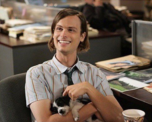 photos of mgg that have "dogs>people" written all over them • a thread.