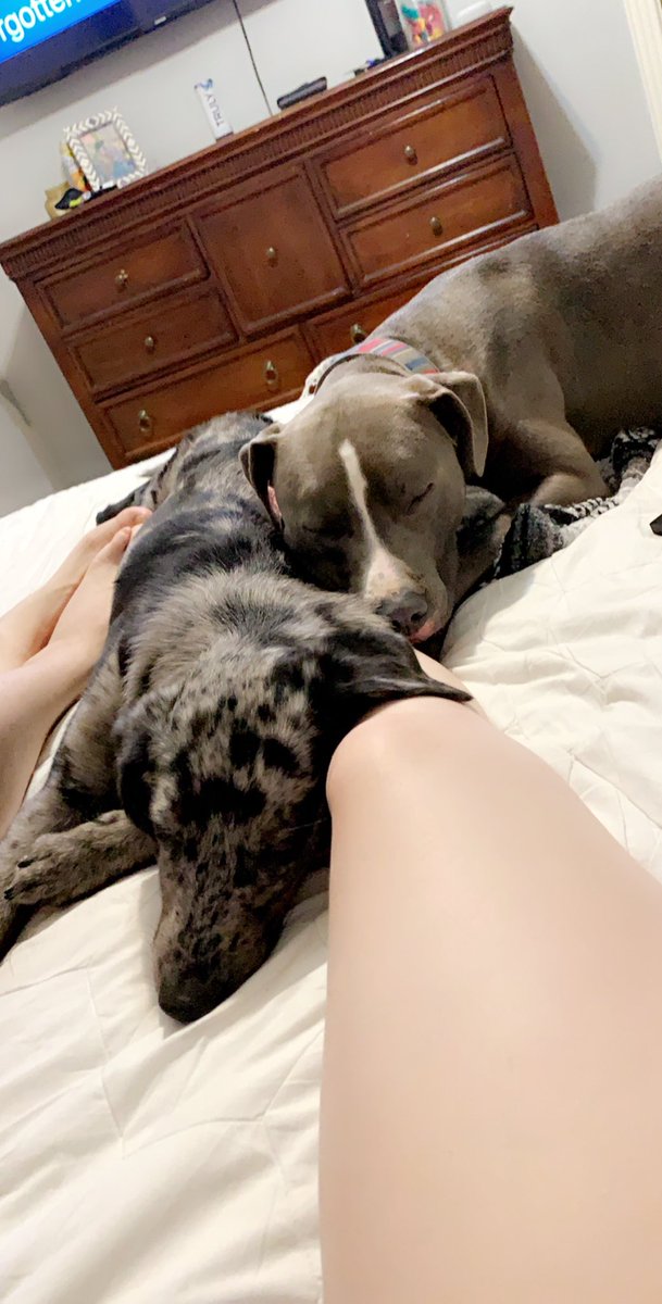 DestinyKimmel's tweet photo. my boys 🤍 https://t.co/kyb0h1iVAb