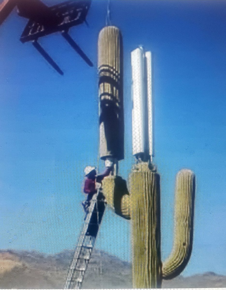 JusticeTargeted's tweet photo. Hiding cell towers in Arizona. https://t.co/RNeiGyr5ey