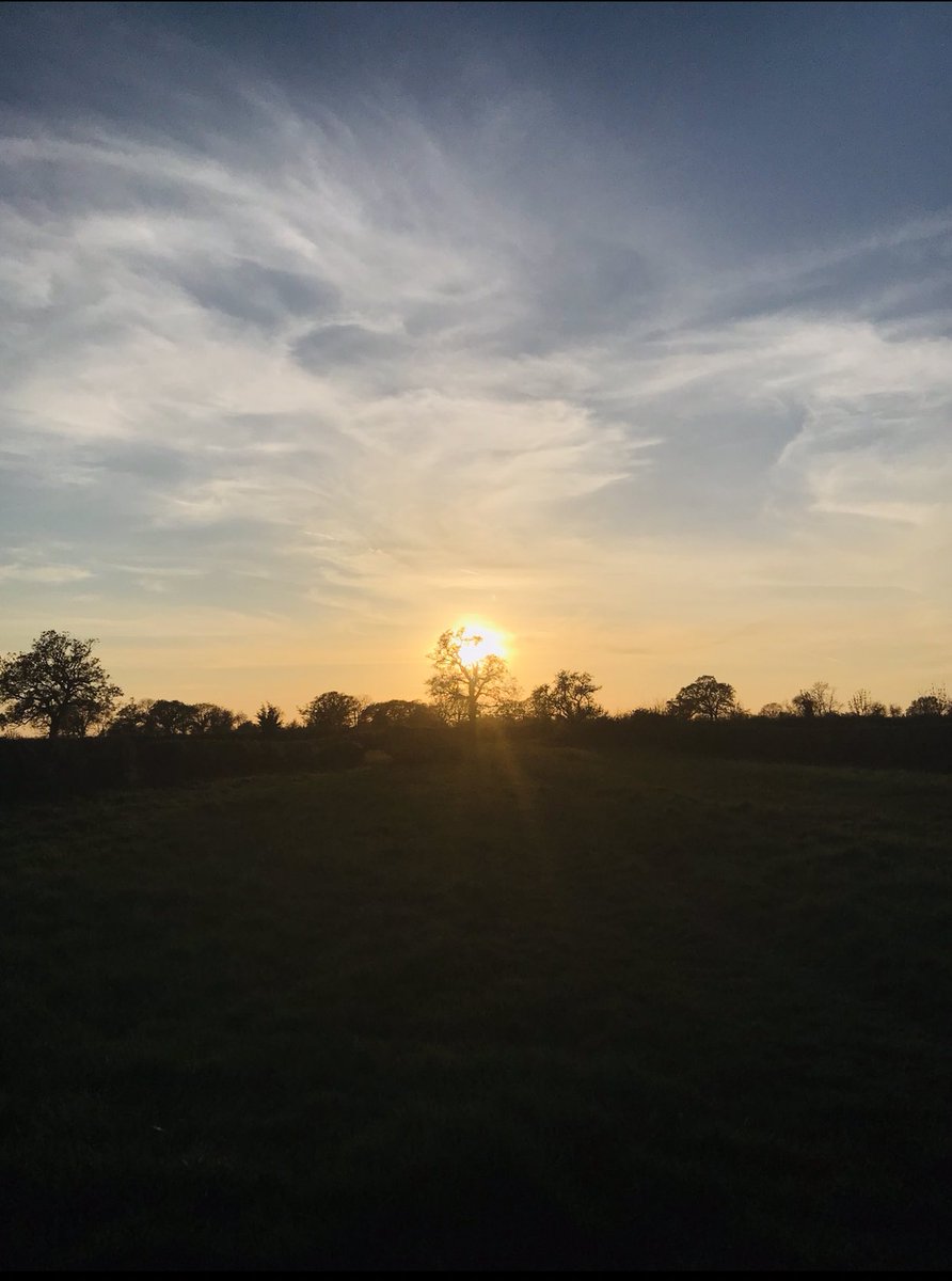 1000Rach's tweet photo. #OneADayPhoto #OneADayExercise #BankHolidayMonday #SocialDistancing #LockdownLife #sunshine #sunset #exercise #walking #health #wellbeing #buckinghamshire #chilterns #chesham🚶‍♀️ https://t.co/VQdBR3gRDB