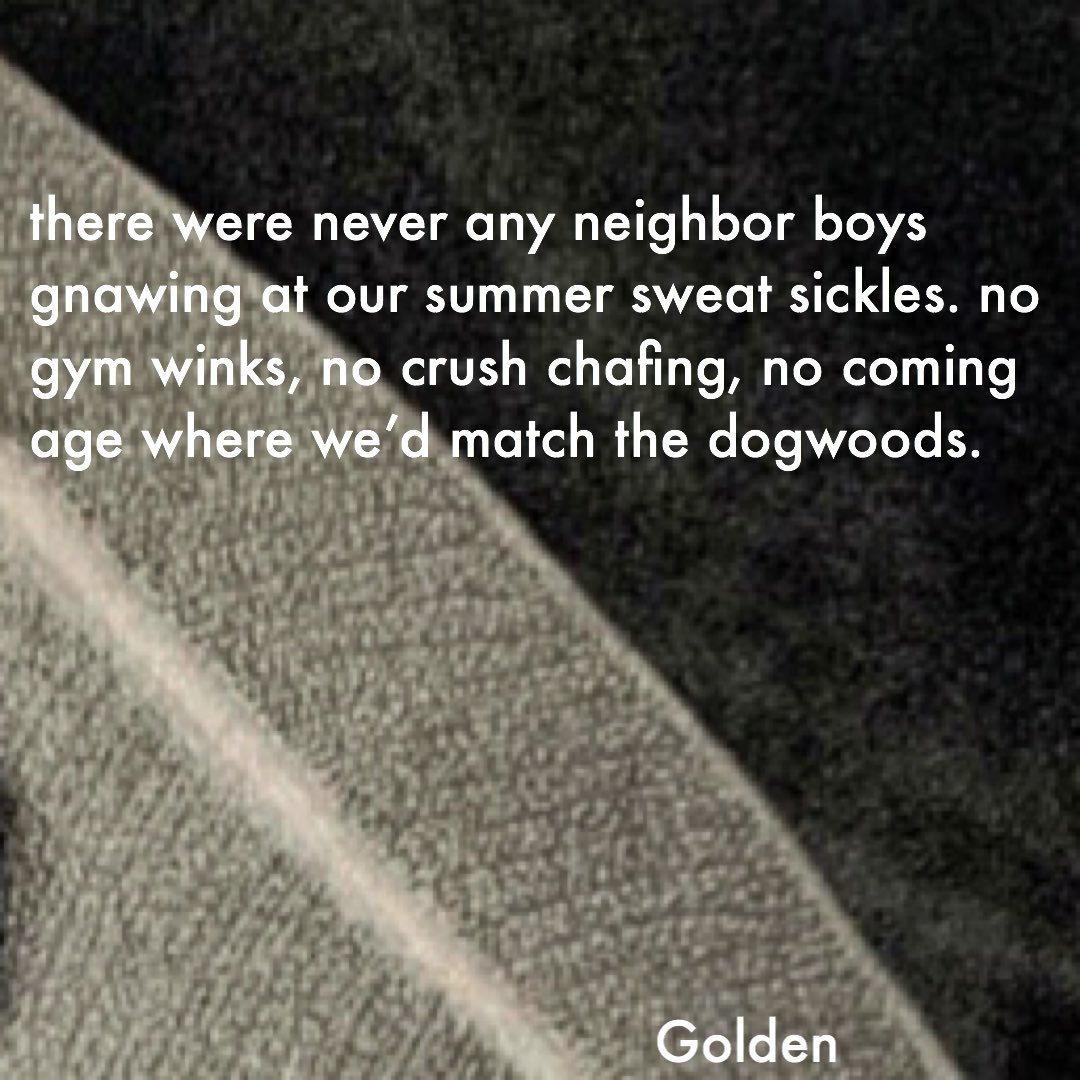 The Shallow Ends tweet media