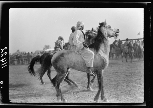 Prenons l'exemple des chevaux et cavaliers sur lesquels les poètes anté-islamiques ne tarissent pas d'éloges. 'Adi Ibn Zayed, mort au début du VIIème siècle et Imru ul-Qays (...) sont parmi les aèdes arabes qui ont été les grands chantres des équidés. [ Palestine ]