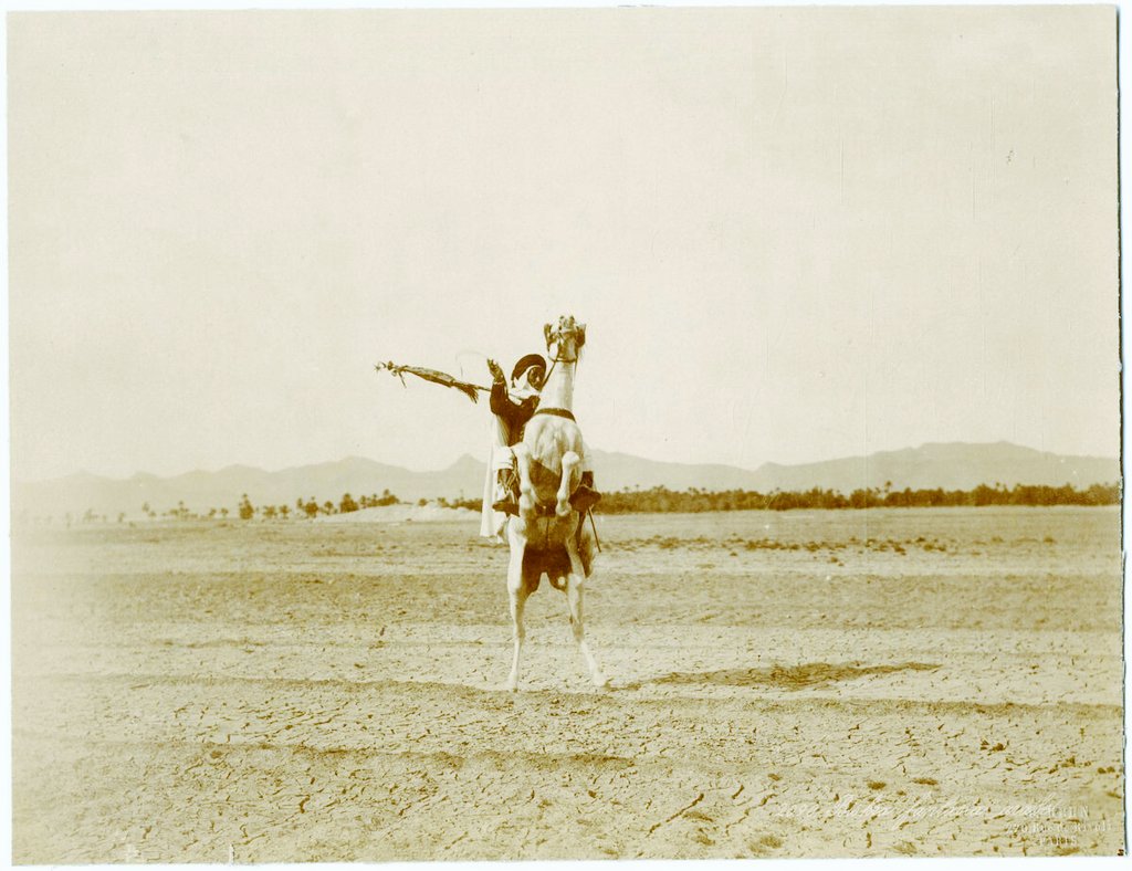 Les arabes d'Algérie disent d'un cheval de qualité qu'il "boit le vent" (شارب الريح). "Il a les oreilles courtes et mobiles, les os solides et minces, les joues dépourvues de chair et les naseaux larges, comme la gueule d'un lion."[  Cavalier à  #Biskra]