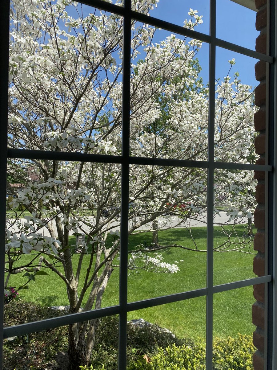 Jdavis_Halton's tweet photo. Good afternoon, gorgeous... #SummerNotSpring https://t.co/CUHfmoyqA1