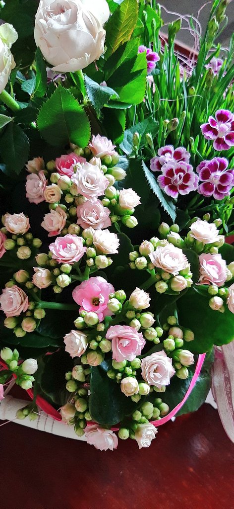 MaipuMaire's tweet photo. Kukkaisia unia💤🌷
Lapsenlapsi #Elmeri'kin viihtyy kelta-vihreässä maastossa #kevätkesä
@IrmeliKaija @PulmuM @JohannaKukka @annelitiainen1 @AnnukkaMeronen @maija_ku @ArnkilKatriina
@TiinaAiraksinen @kolmetoivetta @MariaKuutti @minlaulai @NarviHeli @TellTee https://t.co/Ra46SxyH4u