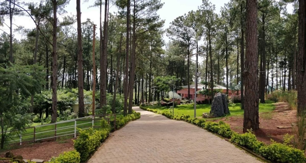 1iversal_B's tweet photo. Sacré "Bois de Mardock" à Ngaoundéré dans l'Adamaoua. https://t.co/UG33D3T5oq