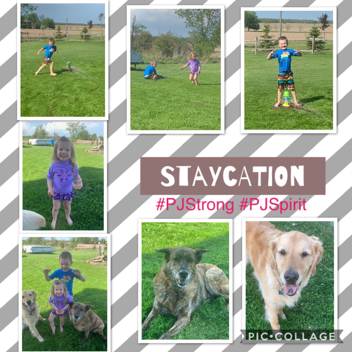 This weeks theme for PJ is Staycation. My staycation involves these amazing people and animals 😁 #PJStrong #PJSpirit <a href="/PJ_HWDSB/">Pauline Johnson Elementary School</a>