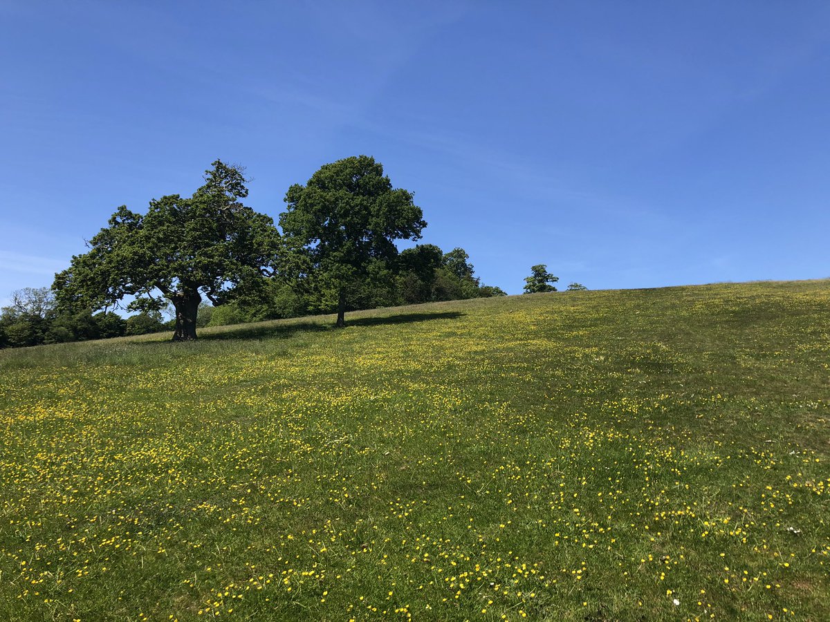 Good to be back <a href="/NTTrelissick/">Trelissick</a> today, looking as beautiful as ever