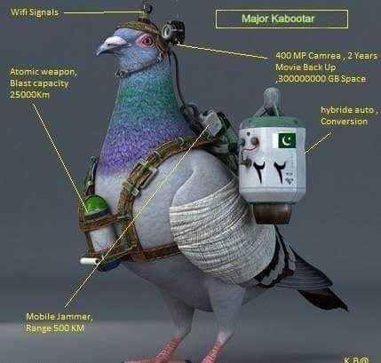 DefenseWarhead tweet picture