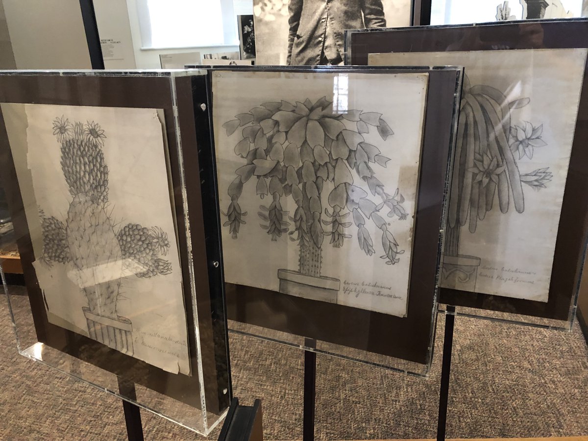 39. Eventually Carver was able to study art and music at Simpson College in Iowa. But his art teacher recognized his talent for drawing plants, and encouraged him to study botany at Iowa State University, where he graduated in 1894.