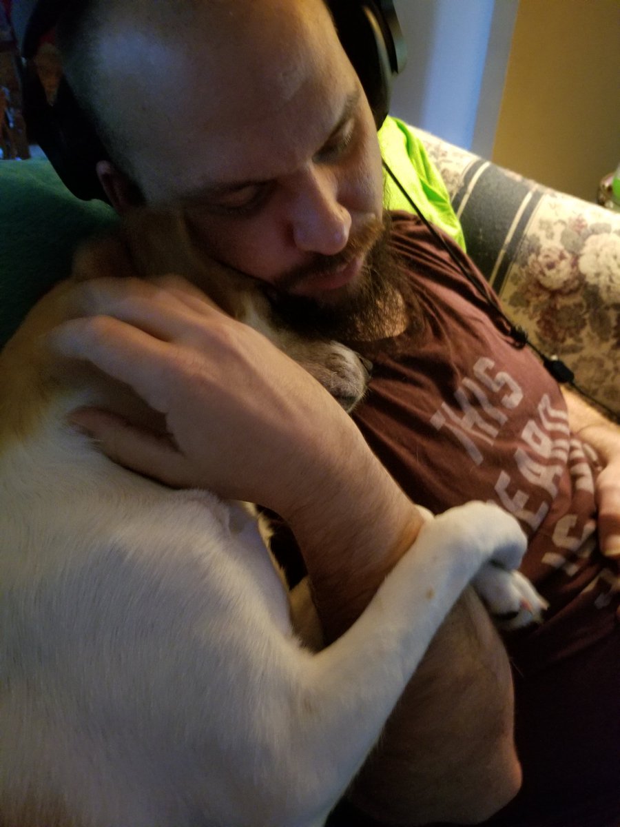 SnKGamingTTv's tweet photo. On our channel you can use your Syco Bucks to #MakeSassyFamous our puppa LOVES being on camera and taking pictures! She poses for phrases such as: are you pretty? Wanna say cheese? Whos a pretty girl? She is ALWAYS camera ready!
#PixOfPups #MakeSassyFamous #SasMaster #GamerDog https://t.co/gkvGgwXZjP