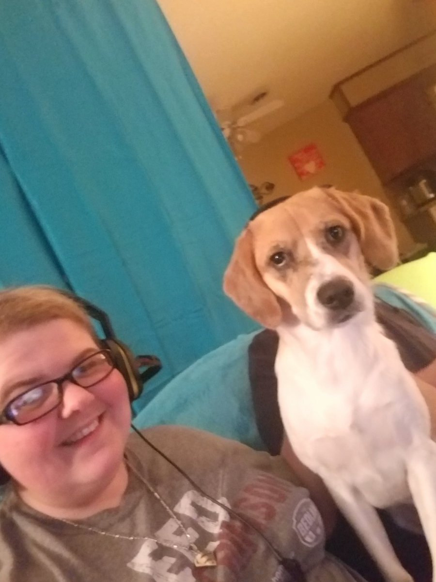 SnKGamingTTv's tweet photo. On our channel you can use your Syco Bucks to #MakeSassyFamous our puppa LOVES being on camera and taking pictures! She poses for phrases such as: are you pretty? Wanna say cheese? Whos a pretty girl? She is ALWAYS camera ready!
#PixOfPups #MakeSassyFamous #SasMaster #GamerDog https://t.co/gkvGgwXZjP