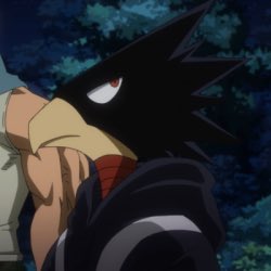 fumikage tokoyami honestly idk why i got so attached to him!!!! i just think he’s cute  and i love him