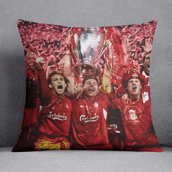 softlydoesit's tweet photo. Liverpool FC Champions League 2005 celebration cushion #liverpoolfc #Istanbul05 #liverpoolistanbul https://t.co/ri6hsjMK6u < Buy it here https://t.co/ZX1lcpqeCu
