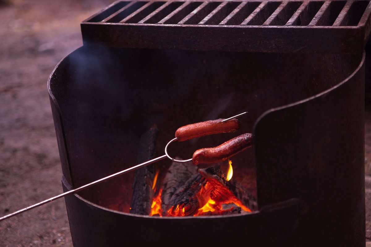 #BCWildfire has responded to 115 human-caused wildfires since April 1, 2020. We want to remind everyone to practise safe, responsible fire use when enjoying a campfire and adhere to open burning prohibitions (1/2).