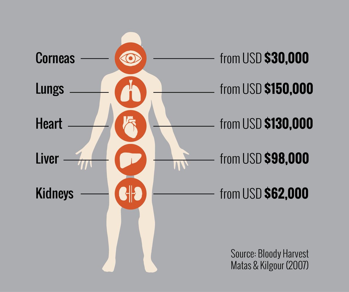 Донорство яиц. Сколько стоят органы человека. Стоимость человеческих органов. Сколько стояторганв. Стоимость человека на черном рынке.
