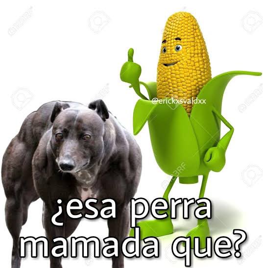 EsDeMamador's tweet photo. https://t.co/EKX6LuYeT0