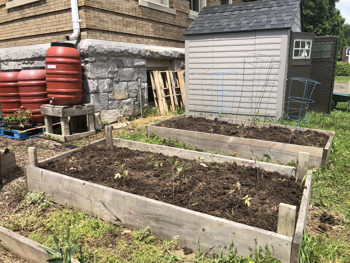 Project19401's tweet photo. Perfect day for some tomatoes and peppers in the garden! https://t.co/Gw2ldhOXEW