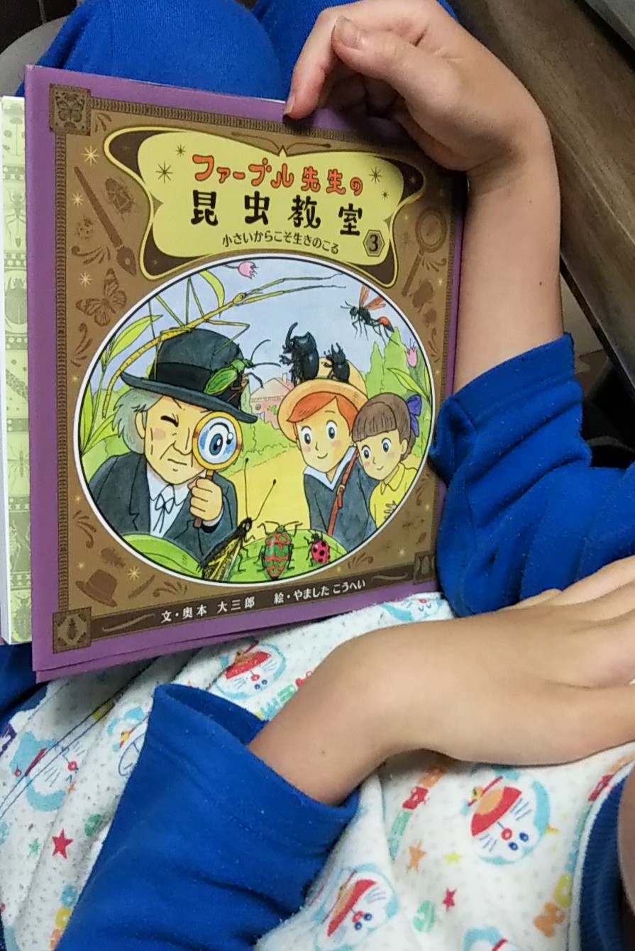 ファーブル先生の昆虫教室 Twitter Search Twitter