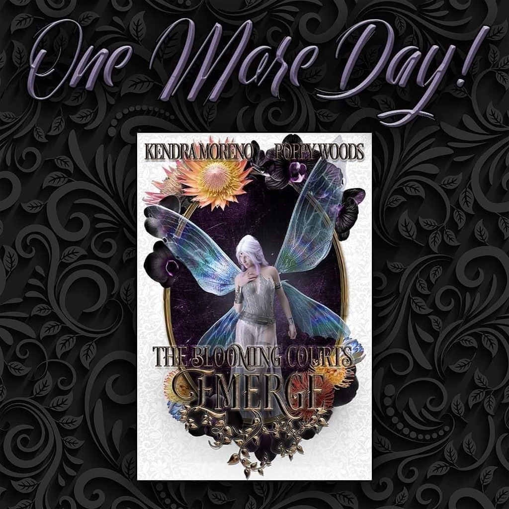 poppywoods9's tweet photo. Only one more day until Emerge #releaseday ! Have you preordered yet?
https://t.co/iIWGoy5FFF
#highfantasy #epicfantasy #fantasyromance #rh #whychoose #poly #polya #polyamory #polyfic #fae #royalty #princess #romanticfantasy #amreadingromance #bookish #bookdragon #booksofinst… https://t.co/BgzLlkLTp3