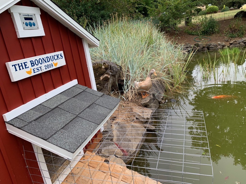 23 Duck House Plans With Tutorials You can Build On A Budget.
#ducks #poultry #chickens
bit.ly/2ZDE0Bs