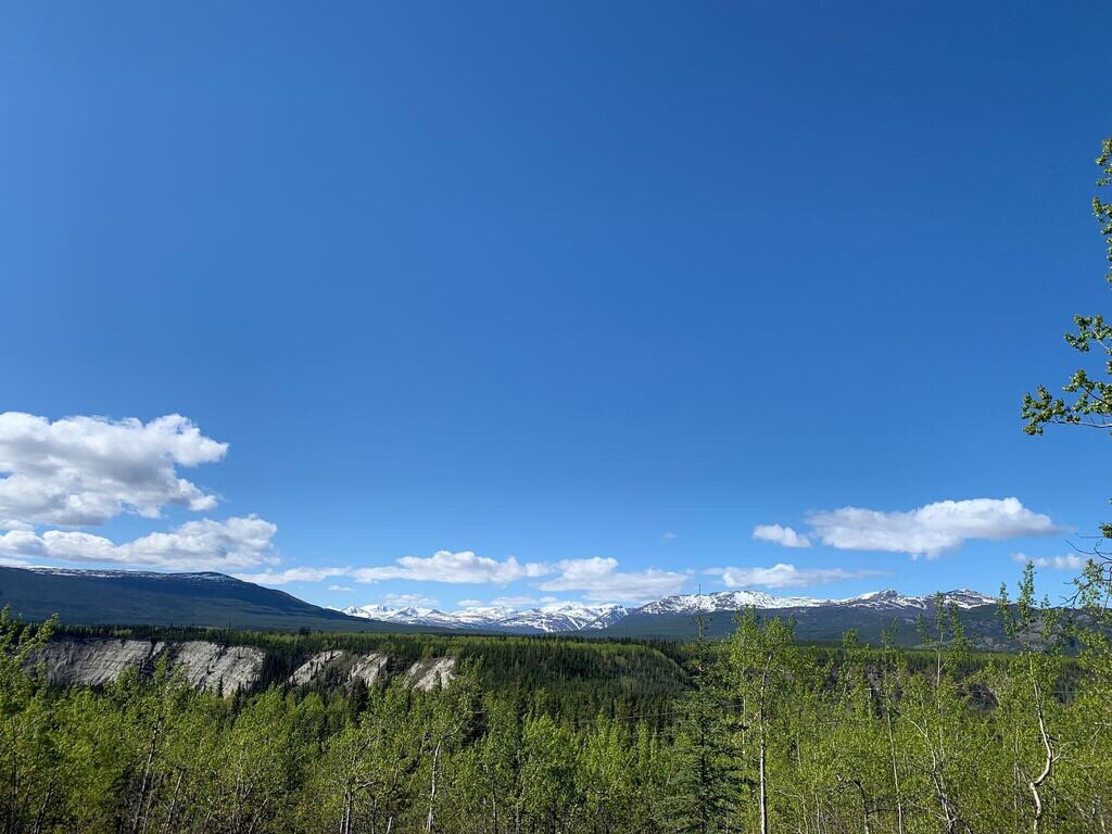 Arctic_Pharm's tweet image. Our natural, non-polluting cold water extraction process produces high-quality, solvent-free organic cannabis products and will help maintain beautiful views such as this gorgeous outlook from our farm. #coldwaterextraction #naturalprocessing #organiccannabis #mothernature