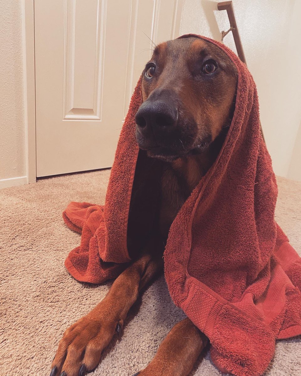MikiChicky's tweet photo. Post bath vibes🛁💙 https://t.co/U7rfxPrRu2