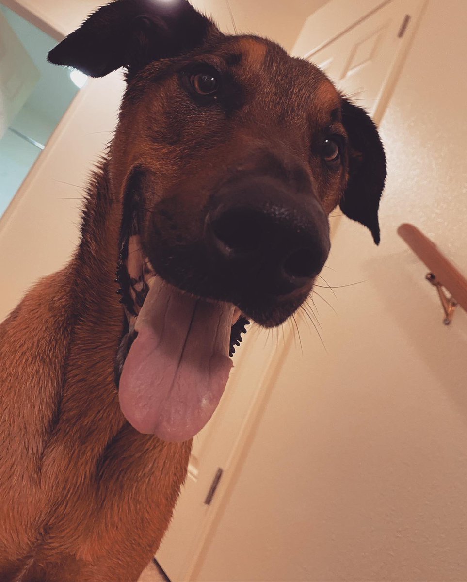 MikiChicky's tweet photo. Post bath vibes🛁💙 https://t.co/U7rfxPrRu2