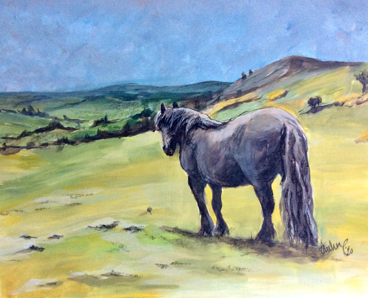 A Fell Pony on The Helm above Kendal, a water colour by Thuline thuline.com #Kendal #watercolours #Cumbria @lakedistrictart @CumbriaMagazine @LakeDistrictPR @creativelakes @CumbriaCrack @heritage_fell @FellPonyCentre @fellpony @CumbriaToday @thehelmhill #art