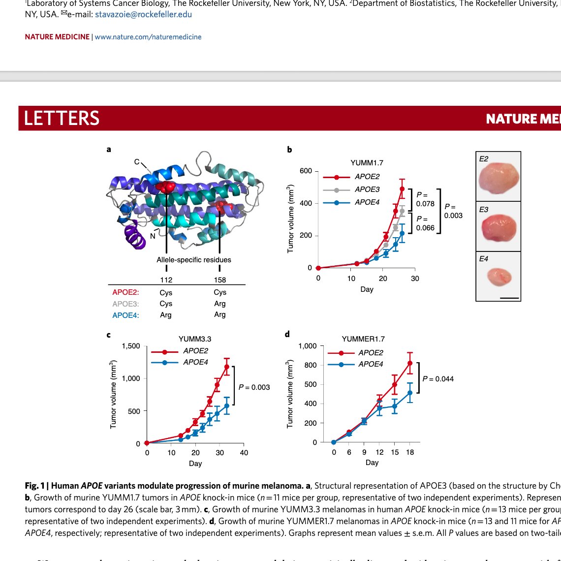 SohailTavazoie's tweet image. Here&apos;s full PDF link: rdcu.be/b4owL @NatureMedicine 
Ben&apos;s paper from #TavazoieLab @RockefellerUniv reveals a hereditary genetic basis to cancer metastasis and cancer survival.  “Alzheimer’s gene&quot; APOE4 suppresses  melanoma progression &amp;amp; enhances anti-tumor immunity