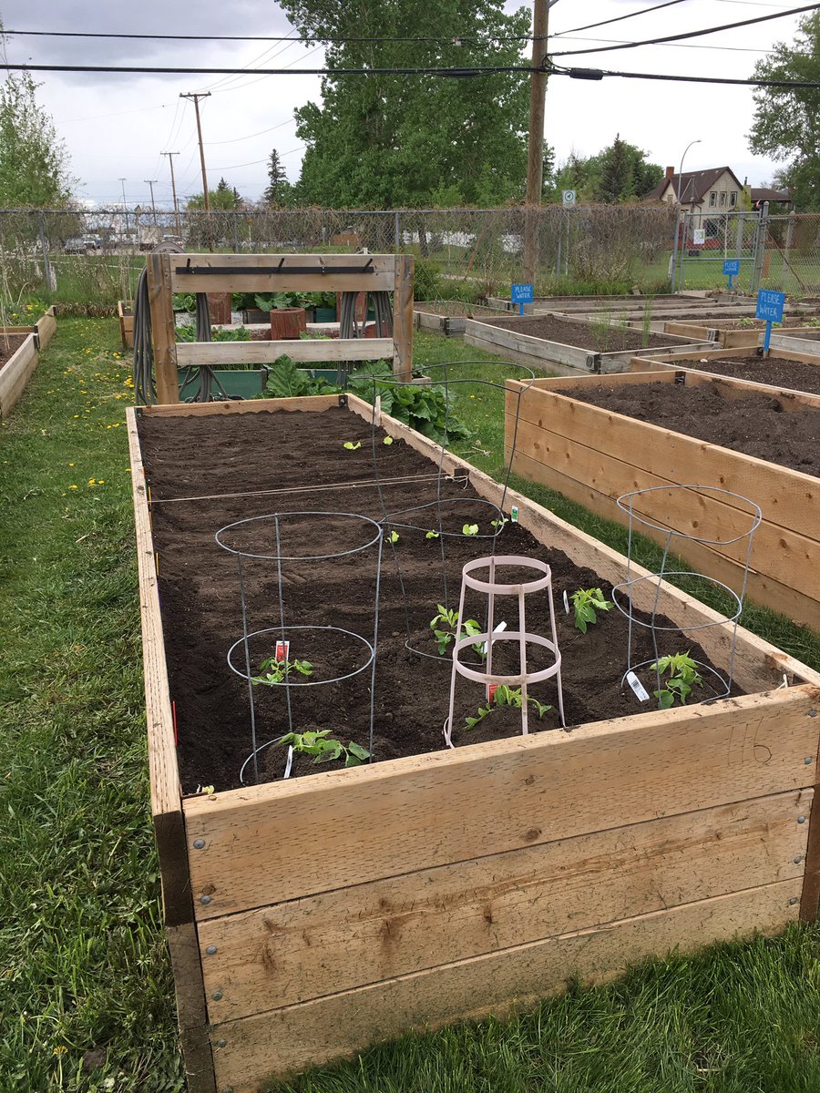 KFishTales's tweet photo. Whoo hoo! Better late than never! @ICGyyc #plant2020 https://t.co/1P43OAgvdD