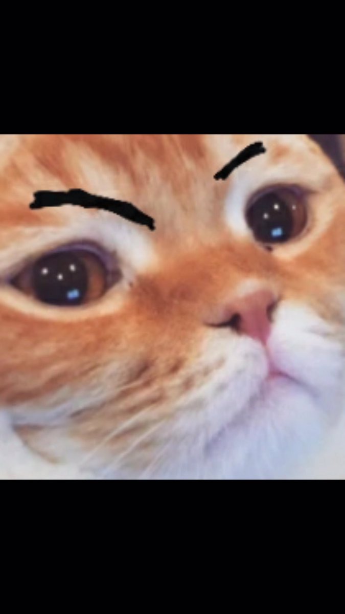 littlebread100's tweet photo. I need a computer aaaaaa https://t.co/RvYkqEFKoH