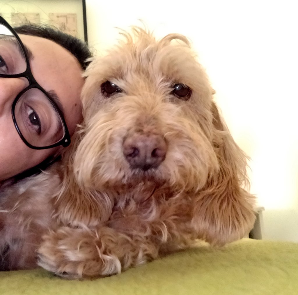 lauralruiz's tweet image. Cuando operan mañana a tu perra, quieres atosigarla con amor y ella pone caras de 'que me quiten a esta pesada de encima' todo el rato en las fotos. 🤷 #RaspaSuperviviente #SendLuck