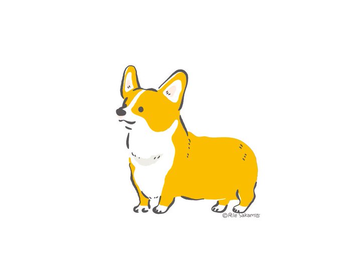 「柴犬 立つ」のTwitter画像/イラスト(古い順)