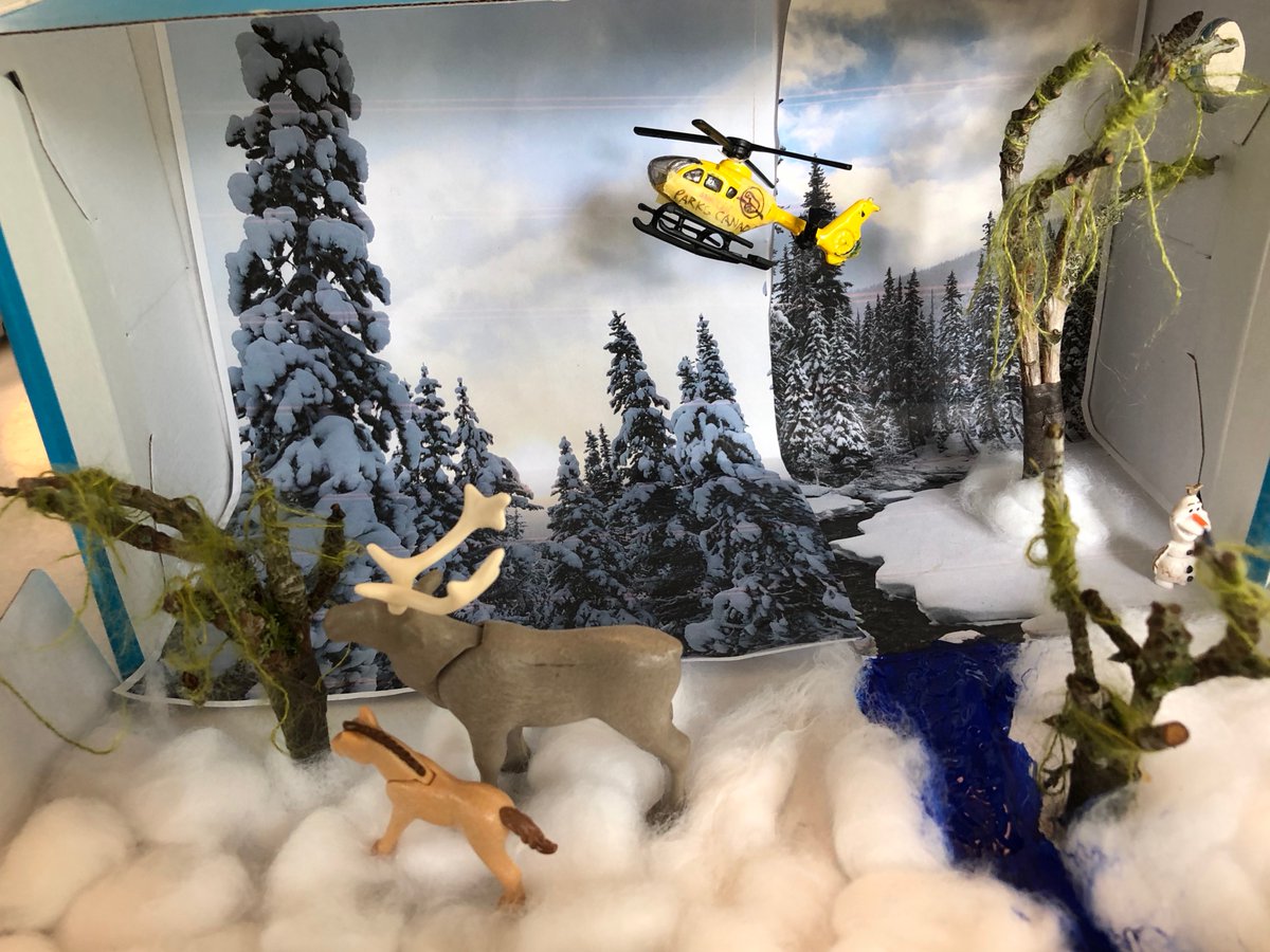 Marnie642's tweet photo. @LiveItearth Fraser L-B, Gr.1, L'ecole Bilingue #LiveItEarth Woodland caribou habitat with Parks Canada helicopter. https://t.co/4YDUhOj6mX
