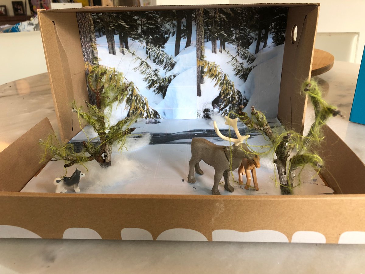 Marnie642's tweet photo. @LiveItearth Alice L-B, Gr.4, L'Ecole Bilingue #LiveItEarth Woodland caribou habitat https://t.co/VYvpJggGTt